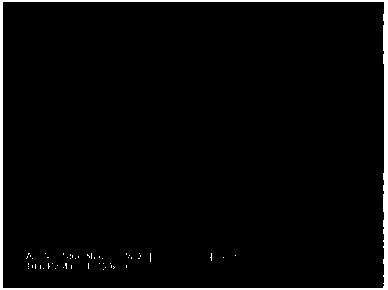 Preparation method of spherical hydroxy cobalt oxide