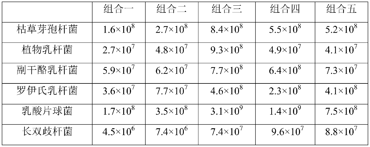 Probiotics fermented functional food capable of warming meridians and dispelling cold and preparation method thereof