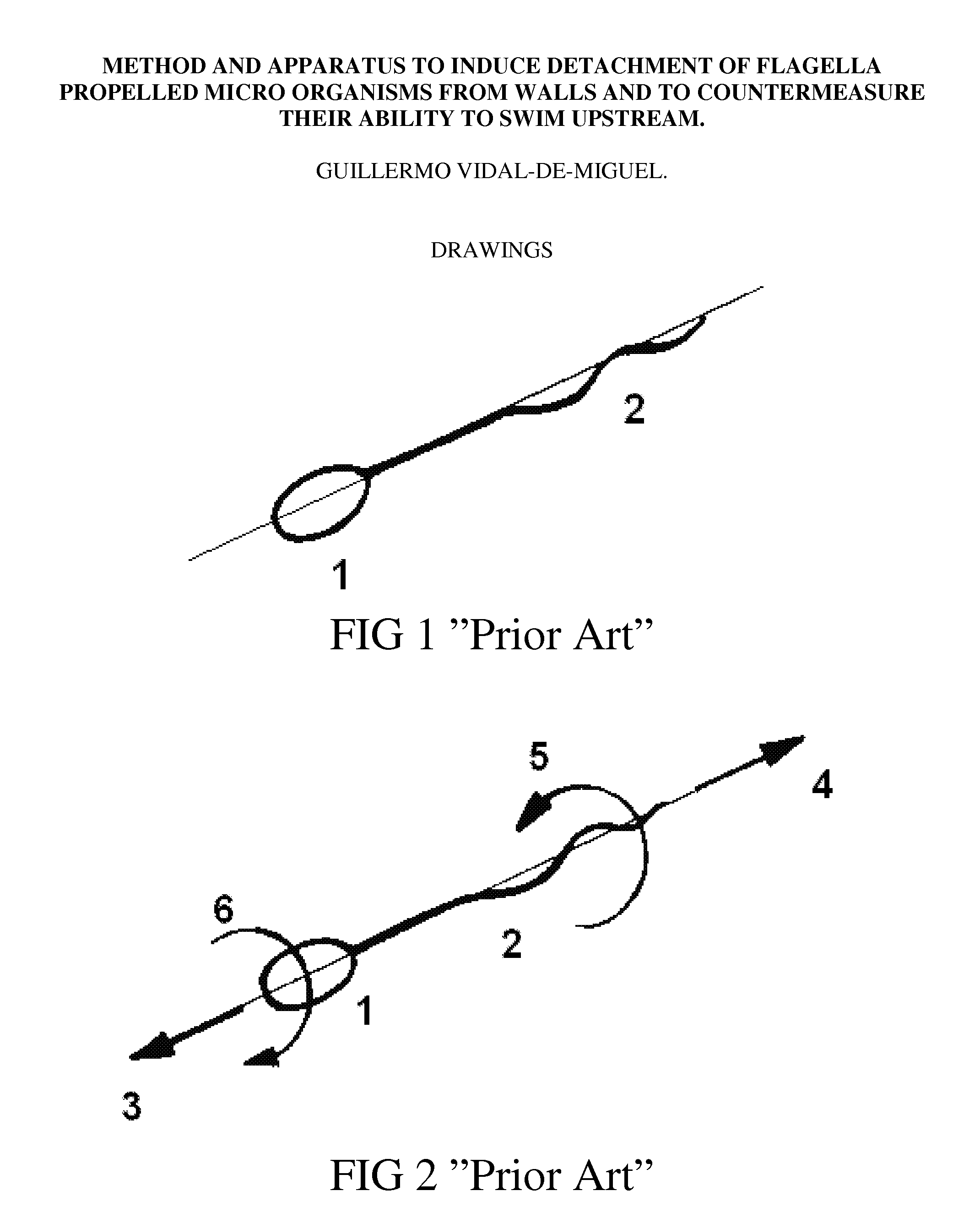 Method and Apparatus to Induce Detachment of Flagella Propelled Micro Organisms from Walls and to Countermeasure Their Ability to Swim Upstream