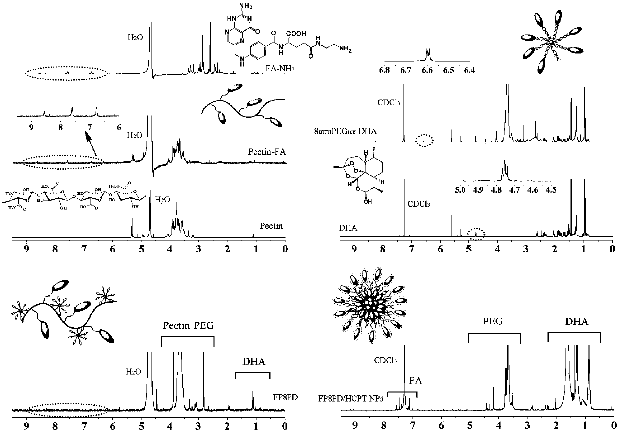 Preparation of novel double-targeted pectin-dobby polyethylene glycol-combined anticancer drug