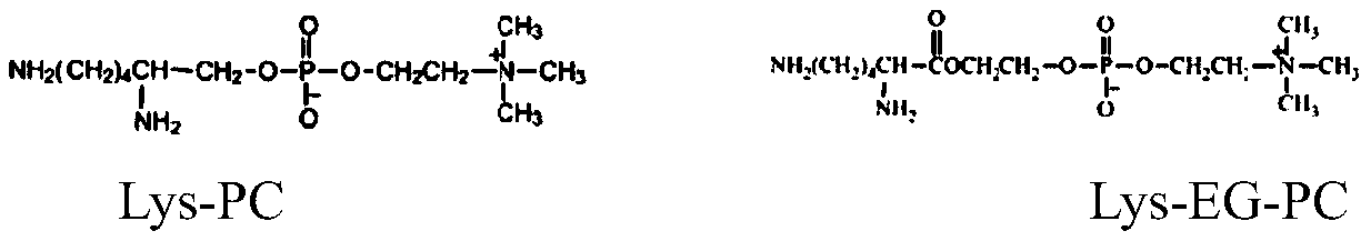 A highly biocompatible phosphorylcholine modified polyurethane material and preparation method thereof