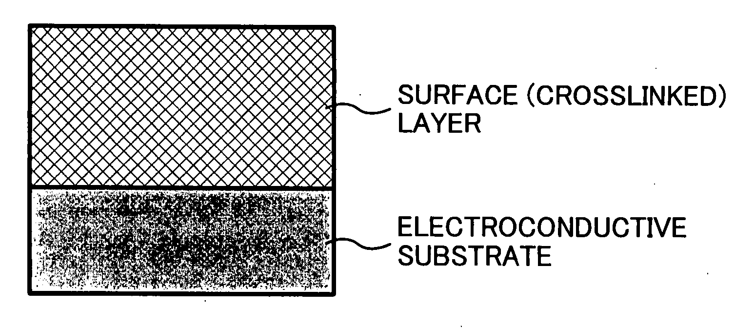 Electrophotographic photoreceptor and method of preparing the photoreceptor, and image forming method, image forming apparatus and process cartridge therefor using the photoreceptor