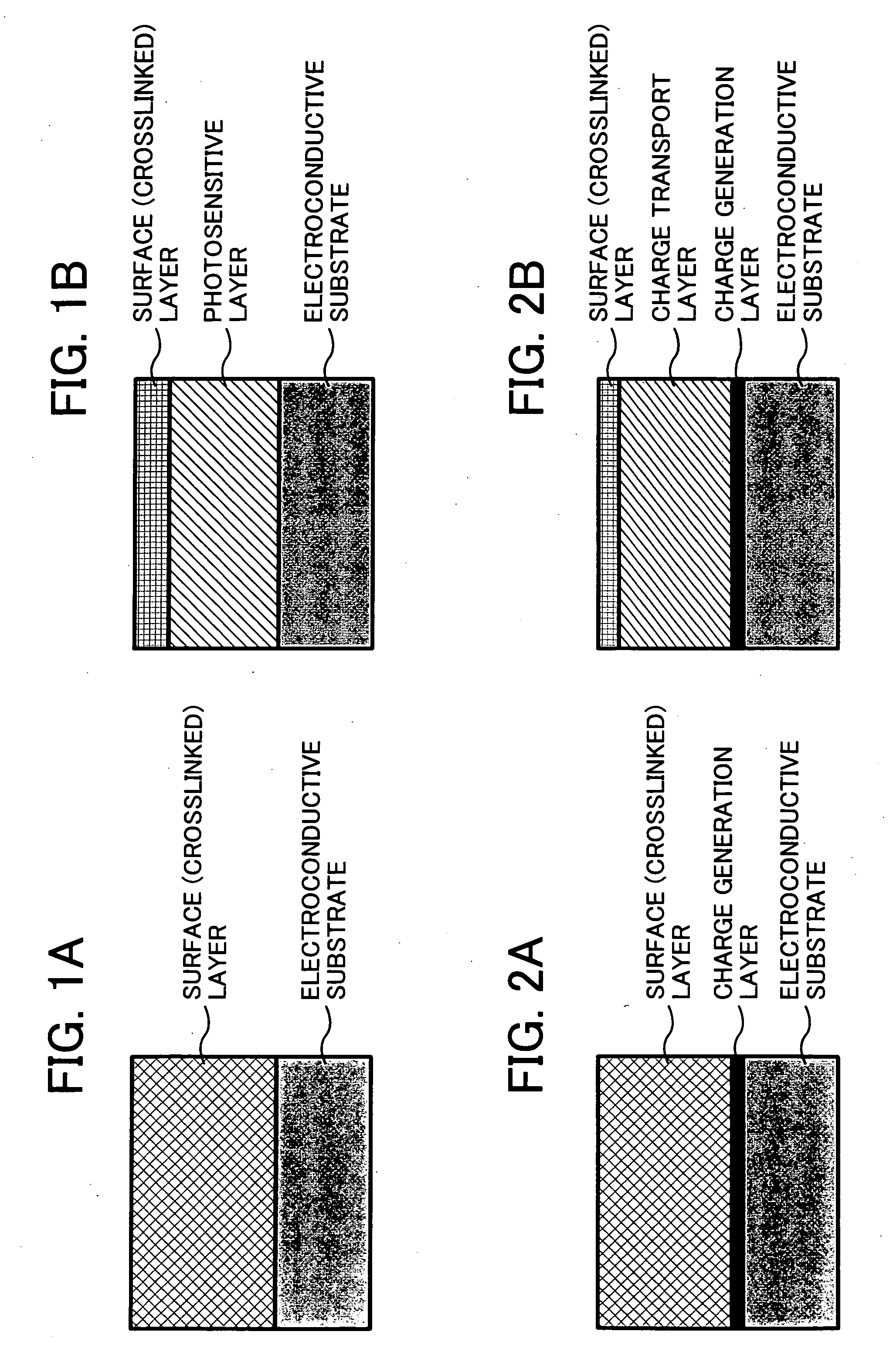 Electrophotographic photoreceptor and method of preparing the photoreceptor, and image forming method, image forming apparatus and process cartridge therefor using the photoreceptor