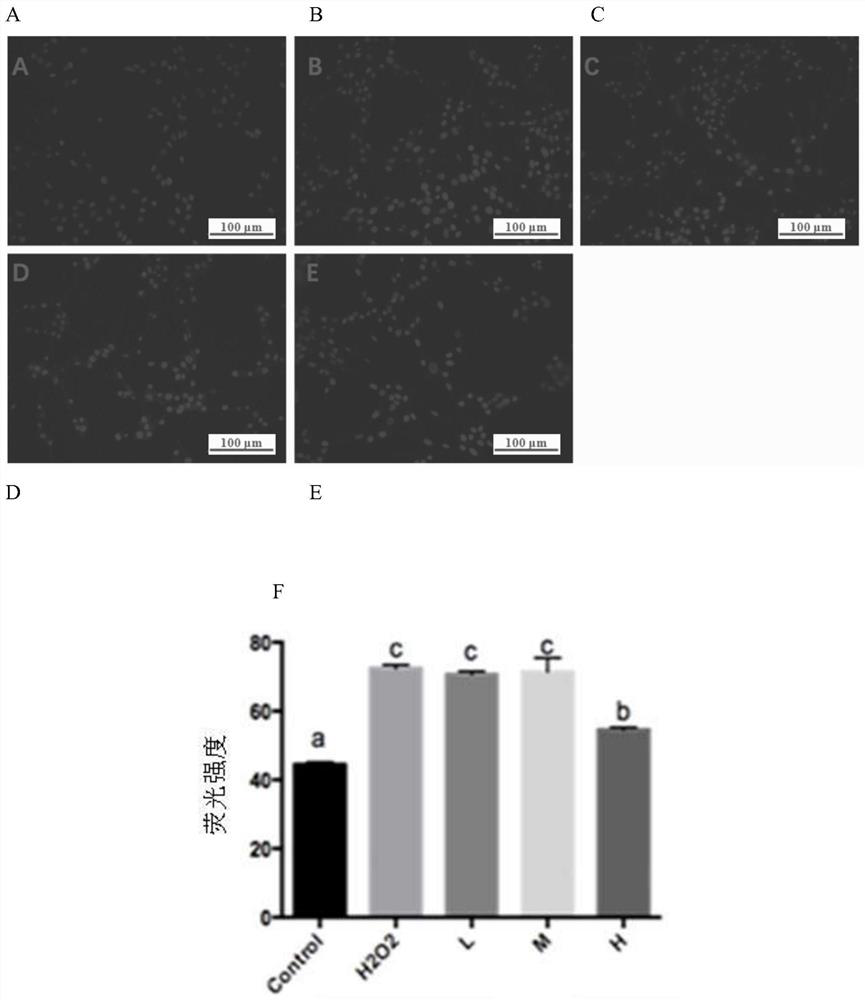 Preparation method and antioxidant application of taro flower water extract