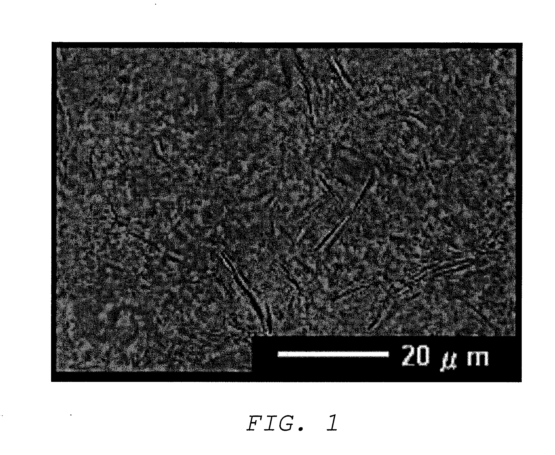 Oil base and external preparation containing same