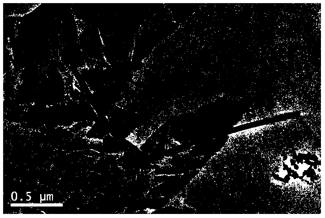 Preparation method of flexible transparent conducting polymer thin film with antibacterial properties