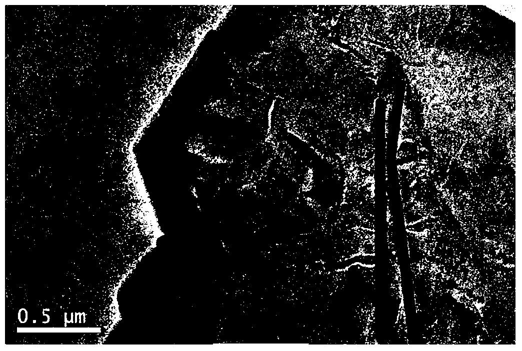 Preparation method of flexible transparent conducting polymer thin film with antibacterial properties