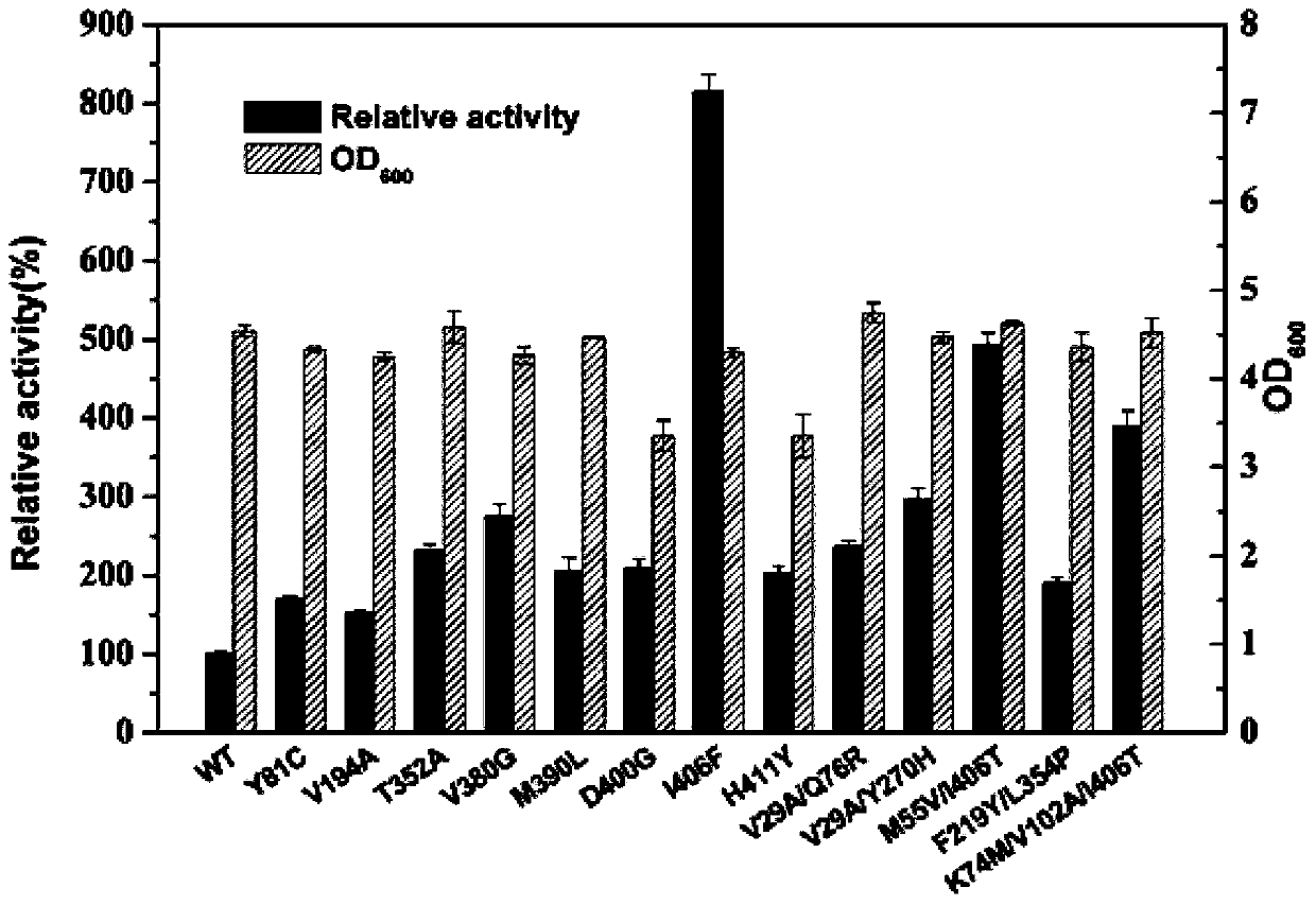 Glutamate dehydrogenase mutants and application thereof