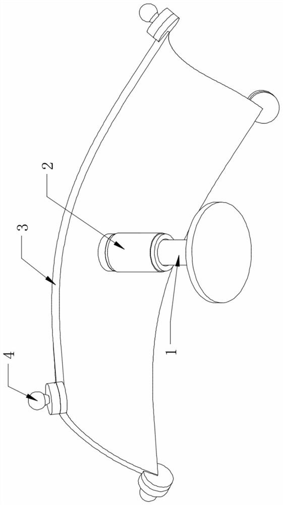 Auxiliary instrument for repairing skin flap into skin graft