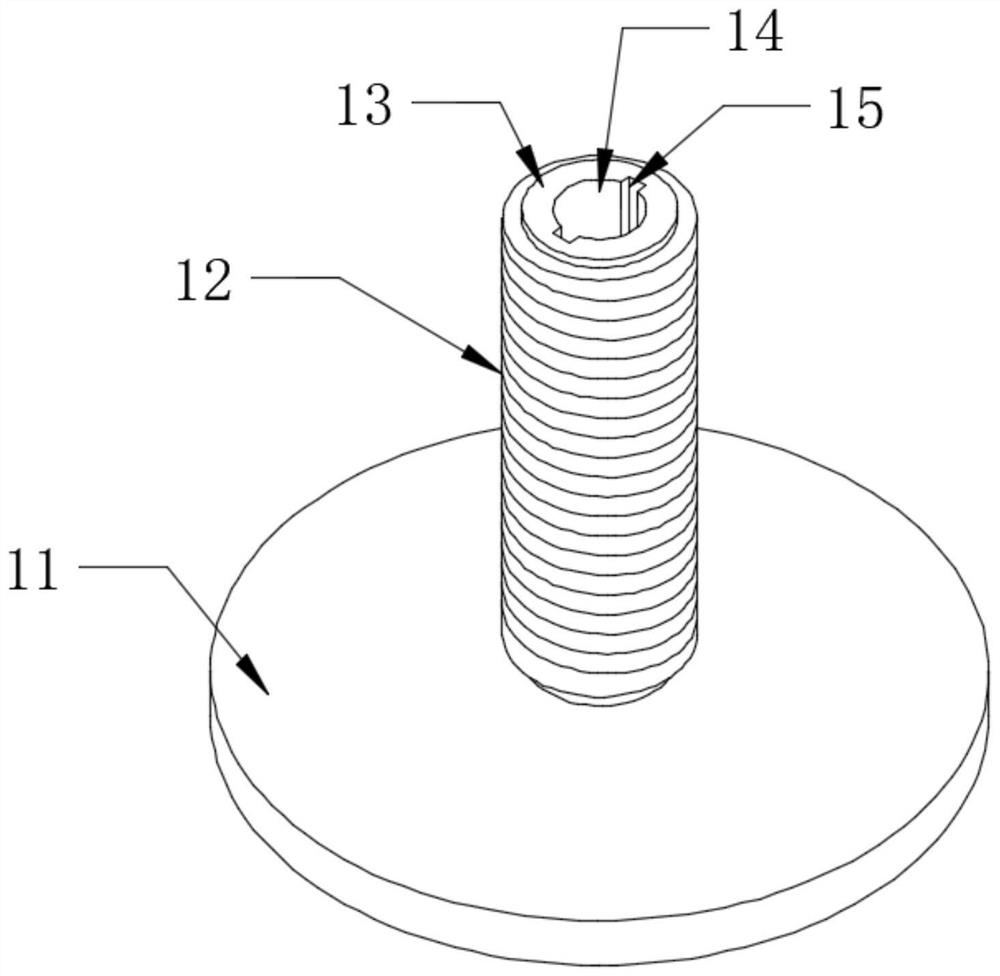 Auxiliary instrument for repairing skin flap into skin graft