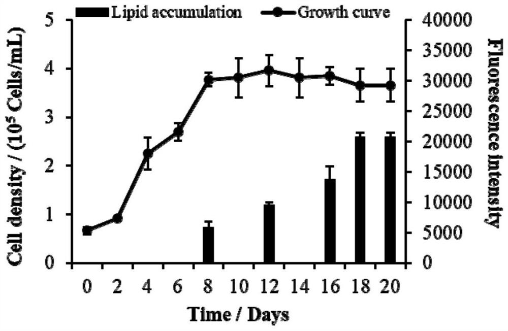 Method for producing biodiesel by using red tide algae and algicidal bacteria