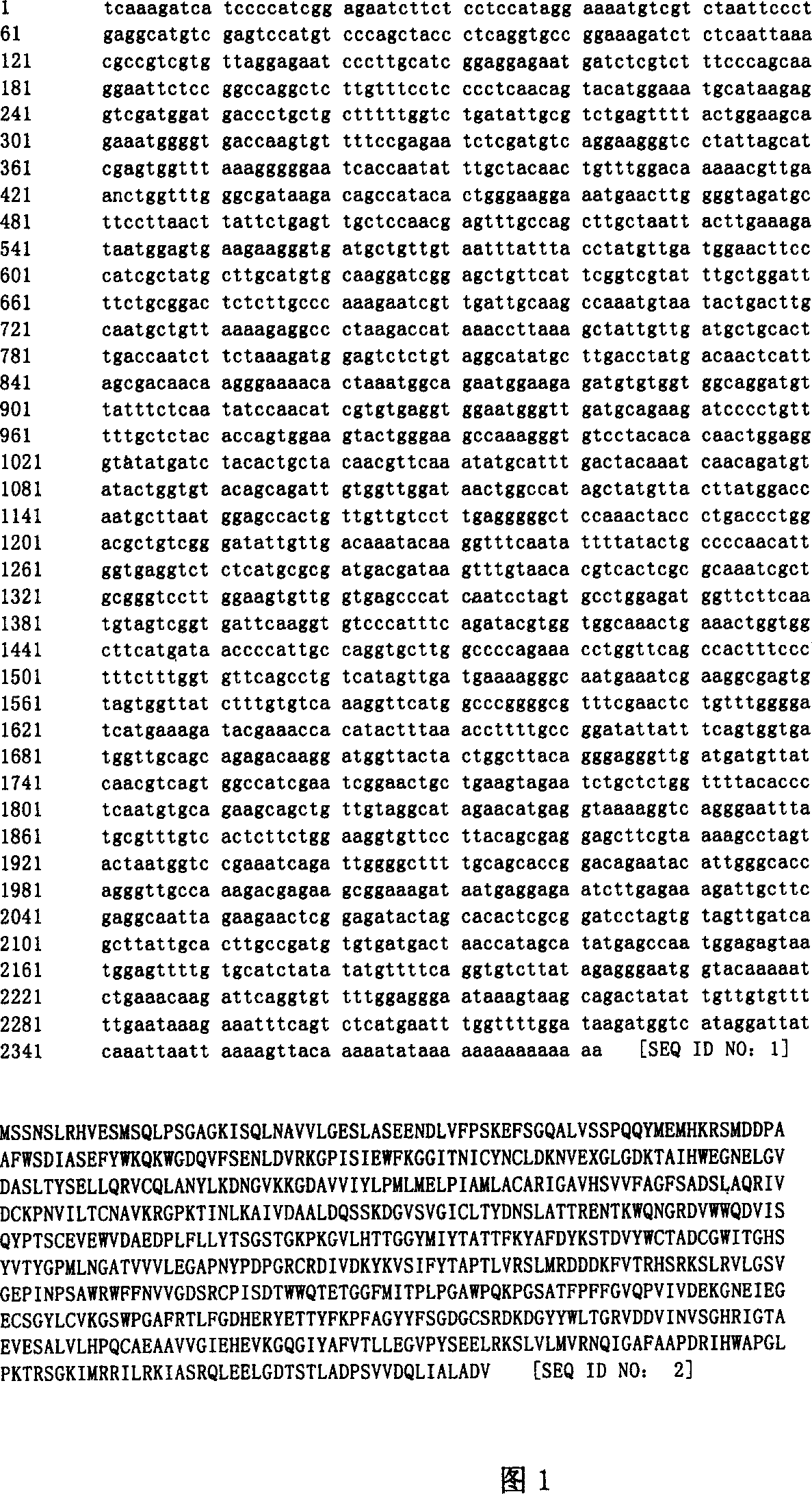 Mateirals and methods for alteration of enzyme and acetyl coA levels in plants