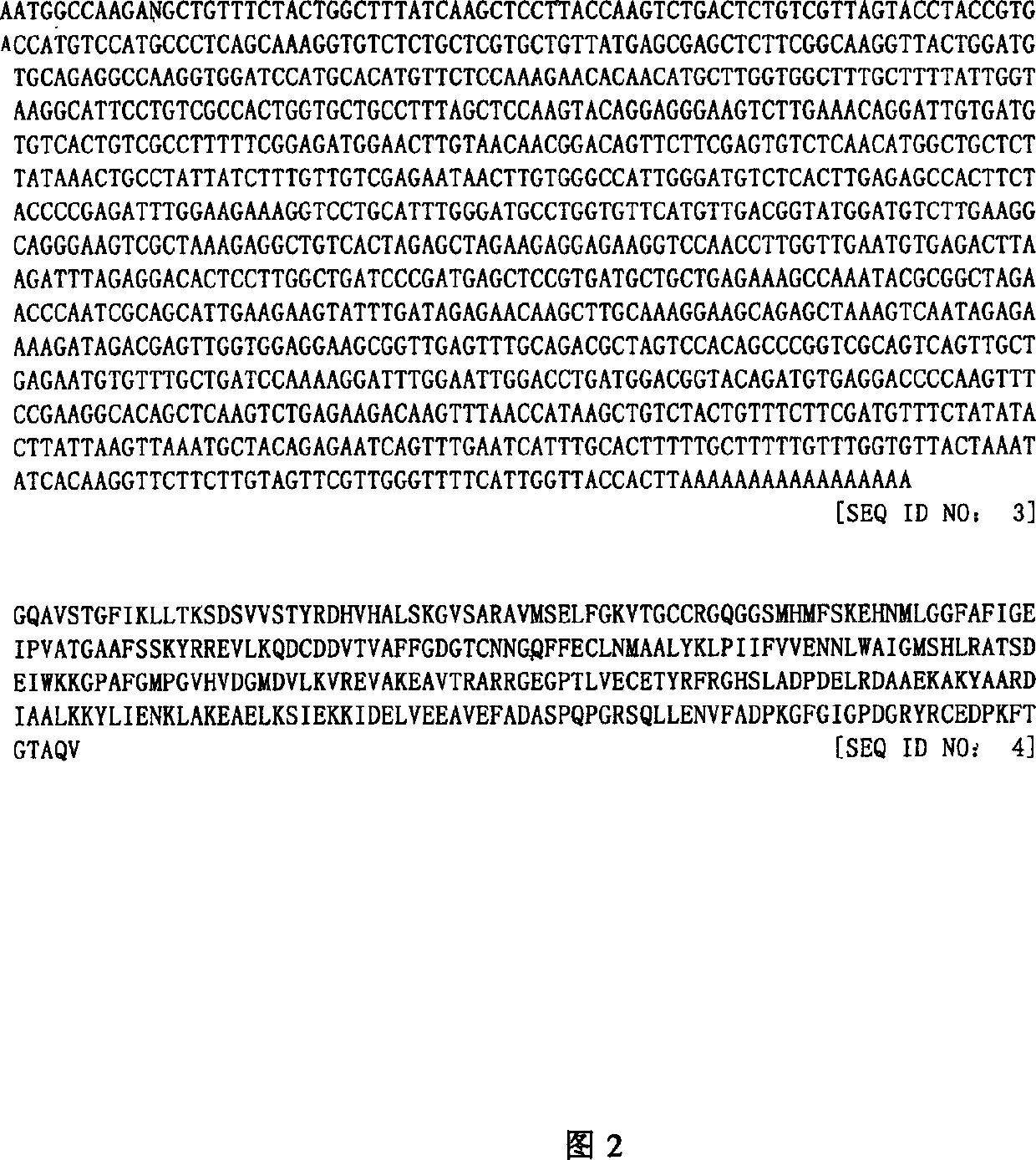 Mateirals and methods for alteration of enzyme and acetyl coA levels in plants