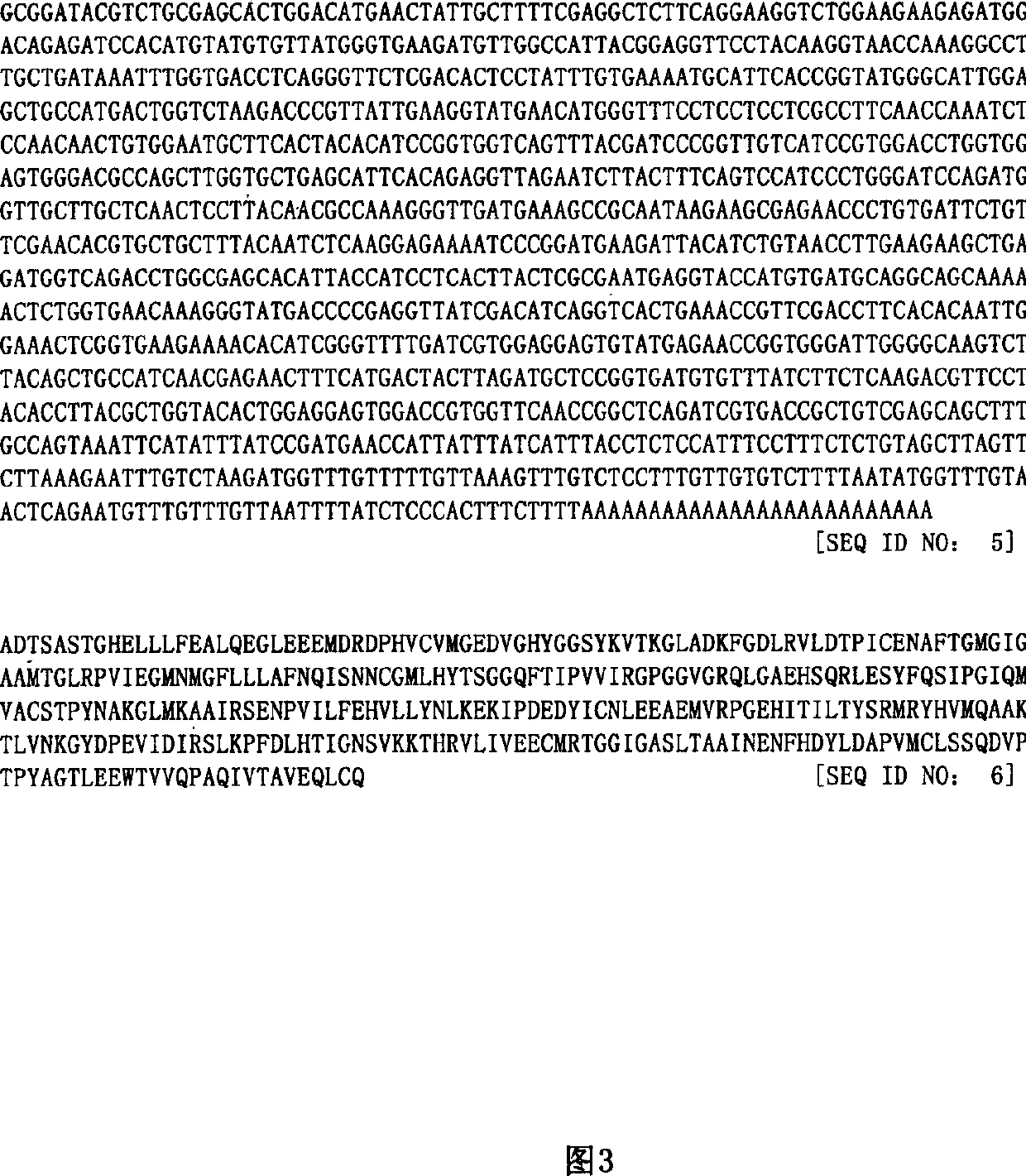 Mateirals and methods for alteration of enzyme and acetyl coA levels in plants