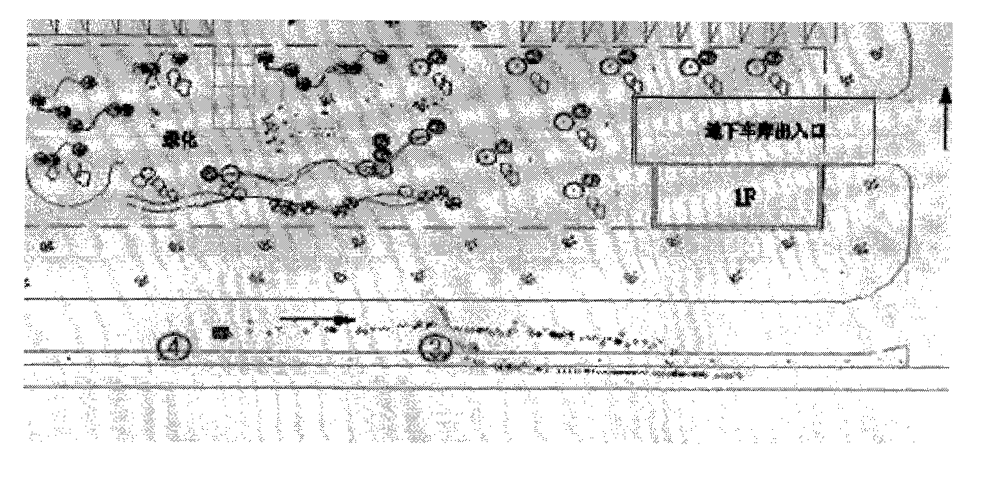 Method and system for abnormal target detection and relay tracking under large-range monitoring scene