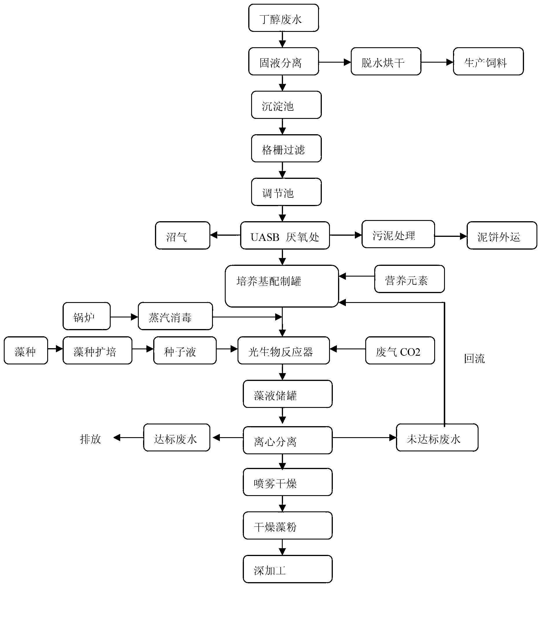 Method for producing microalgae by utilizing industrial waste water and waste gas of biobutanol, and application of method