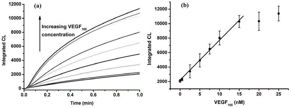 Aptamer and manganese porphyrin catalysis-based chemiluminescence protein detection method