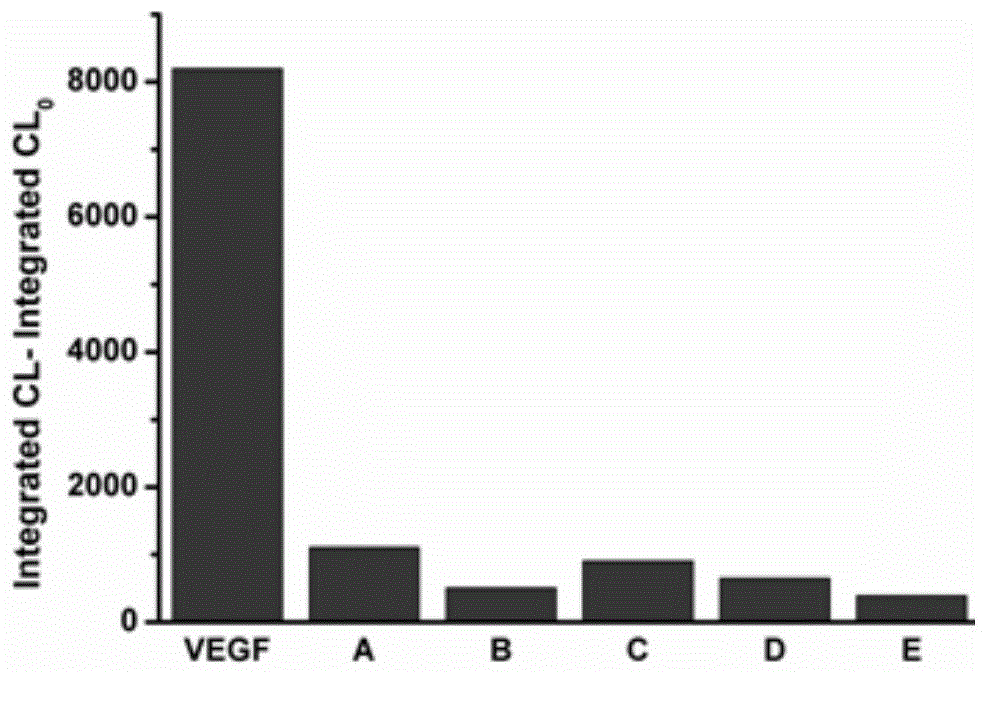 Aptamer and manganese porphyrin catalysis-based chemiluminescence protein detection method