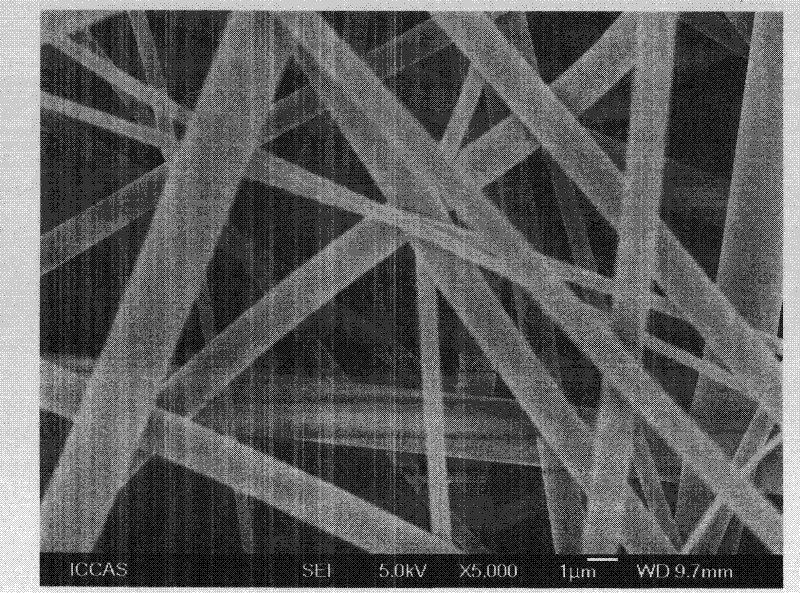 Cellulose base adsorbing material for removing cations of heavy metal in water and preparation method of cellulose base adsorbing material