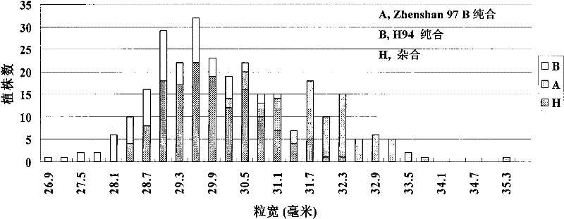 Cloning and application of major gene GS5 capable of controlling width and weight of rice grain