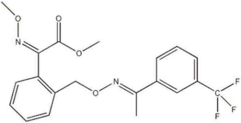 High-efficient bactericidal composition containing trifloxystrobin and elemicin