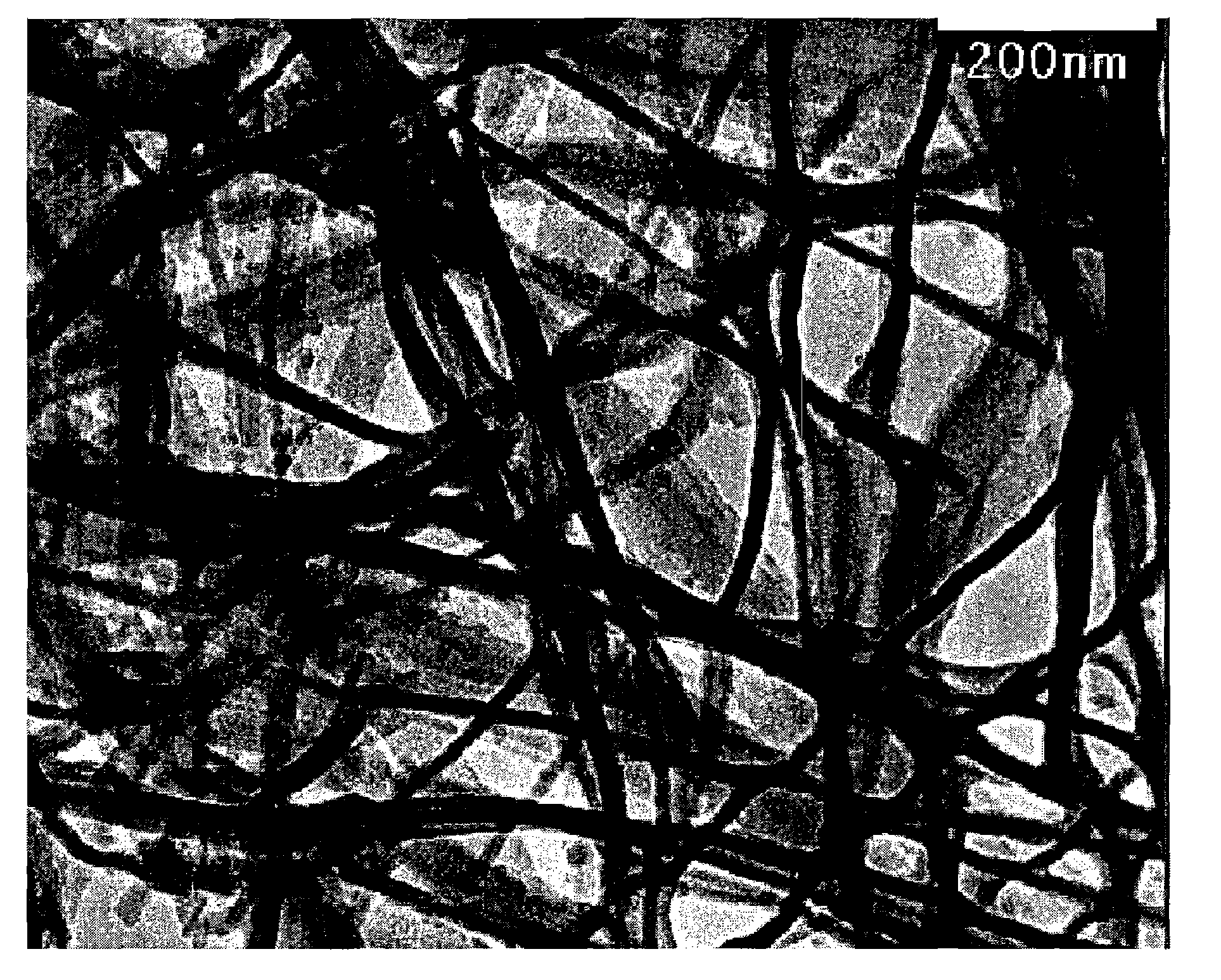 Composite nanofiber, composite nanofiber association, complex structure, and production method thereof