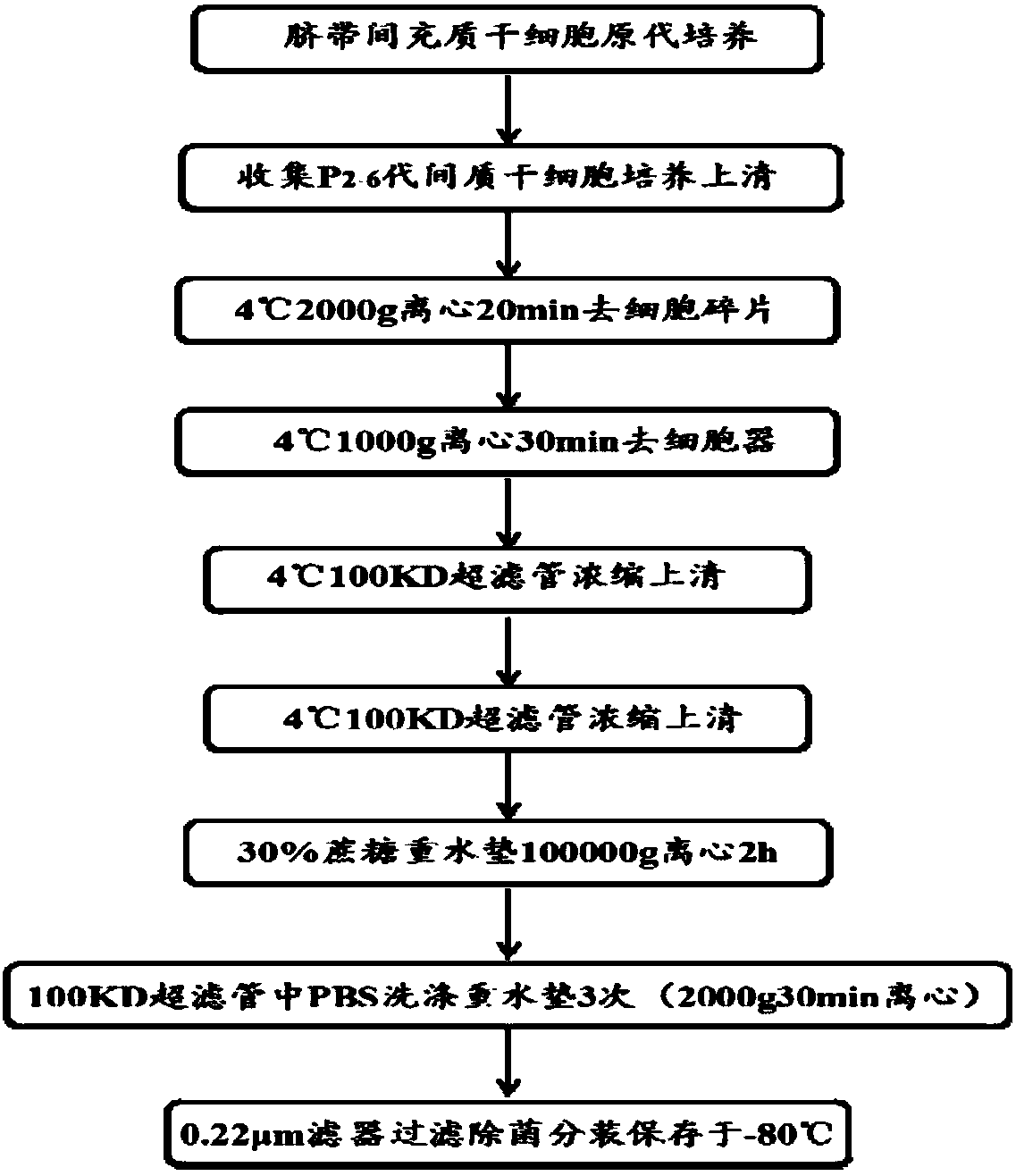 Application of exosome secreted by human umbilical cord mesenchymal stem cell in preparing medicine for repairing skin ultraviolet injury