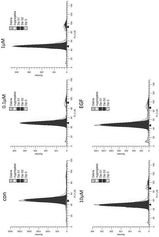 Peptide and application thereof