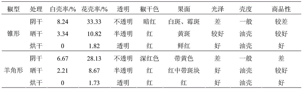 Two-stage type hot pepper drying method