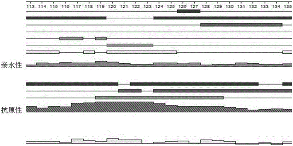 Antibody for broad-spectrum detection of Bt Cry1 toxoids as well as preparation method and application thereof