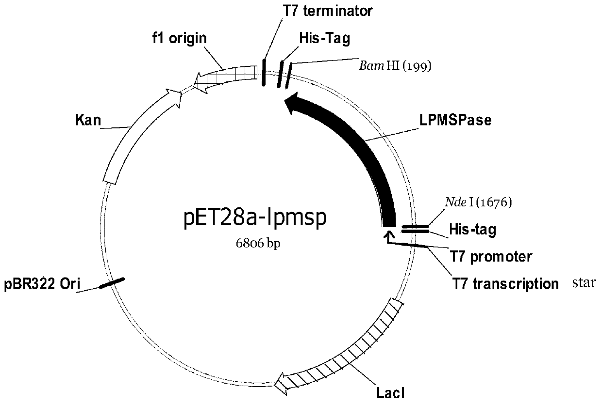 Application of glycerol-2-alpha-glucosylase in preparing 2-alpha-glyceryl glucoside