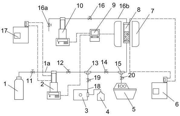 Experimental device and method for observing generation of hydrates promoted by microbubbles through nuclear magnetism