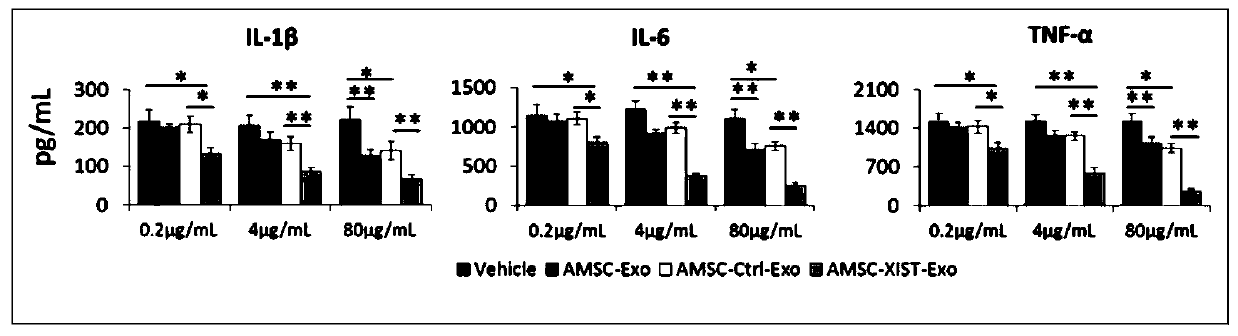 Preparation and application of XIST-modified adipose-derived mesenchymal stem cell exosomes