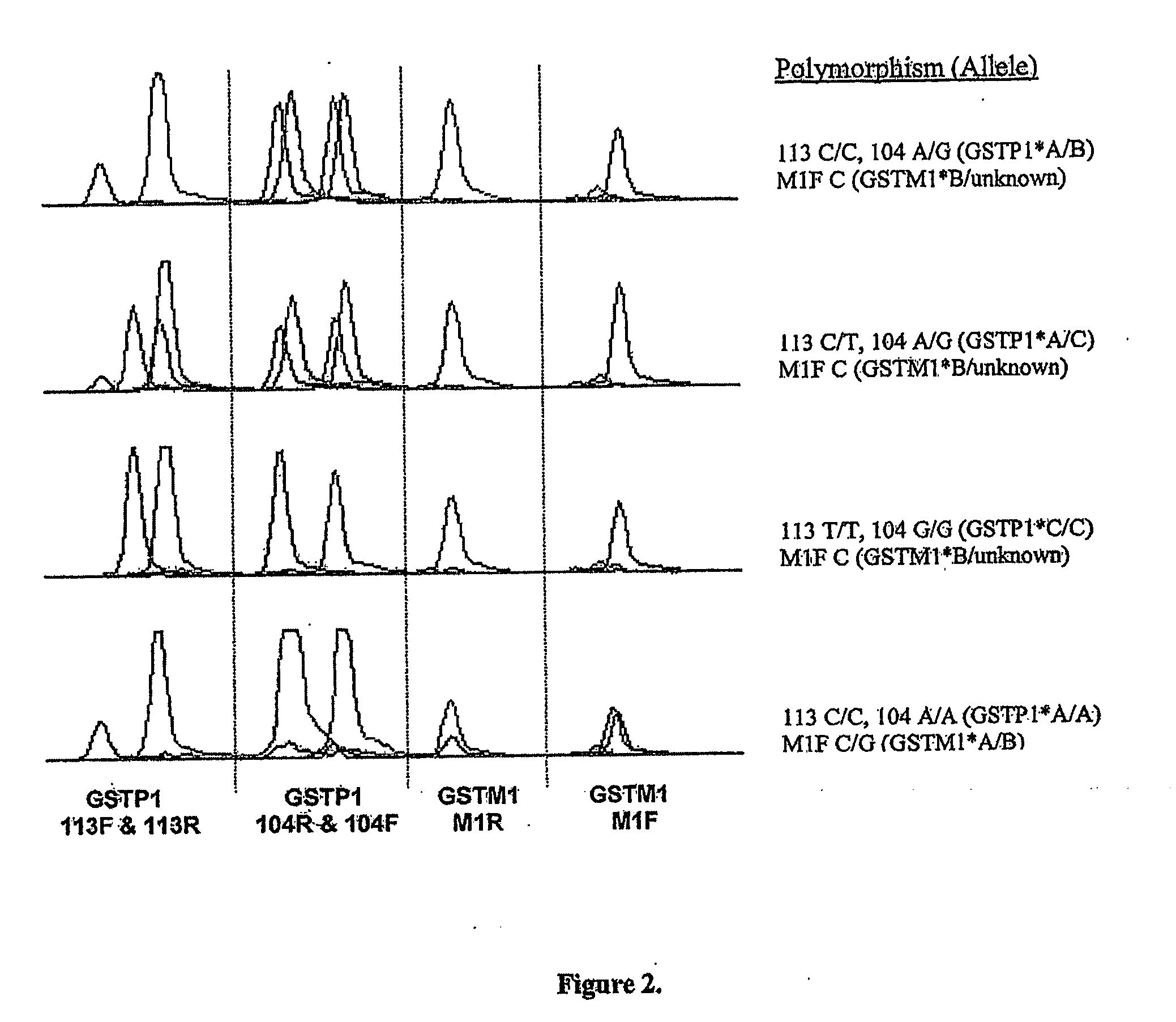 High throughput detection of glutathione s-transferase polymorphic alleles