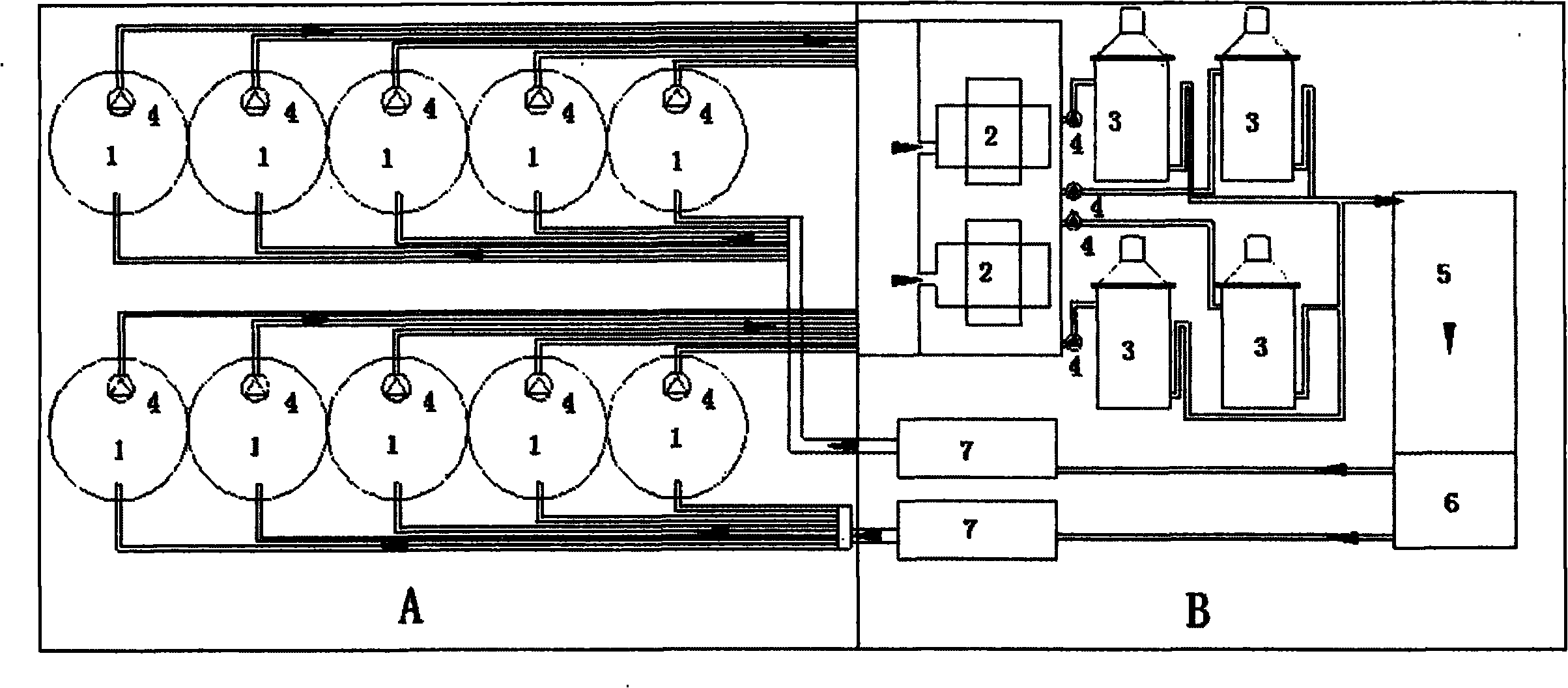 Circulating water culture system