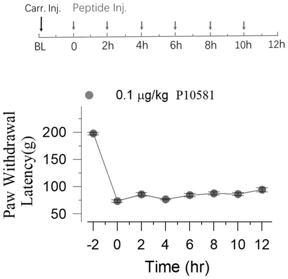 Application of short peptide in preparation of product with morphine tolerance eliminating effect