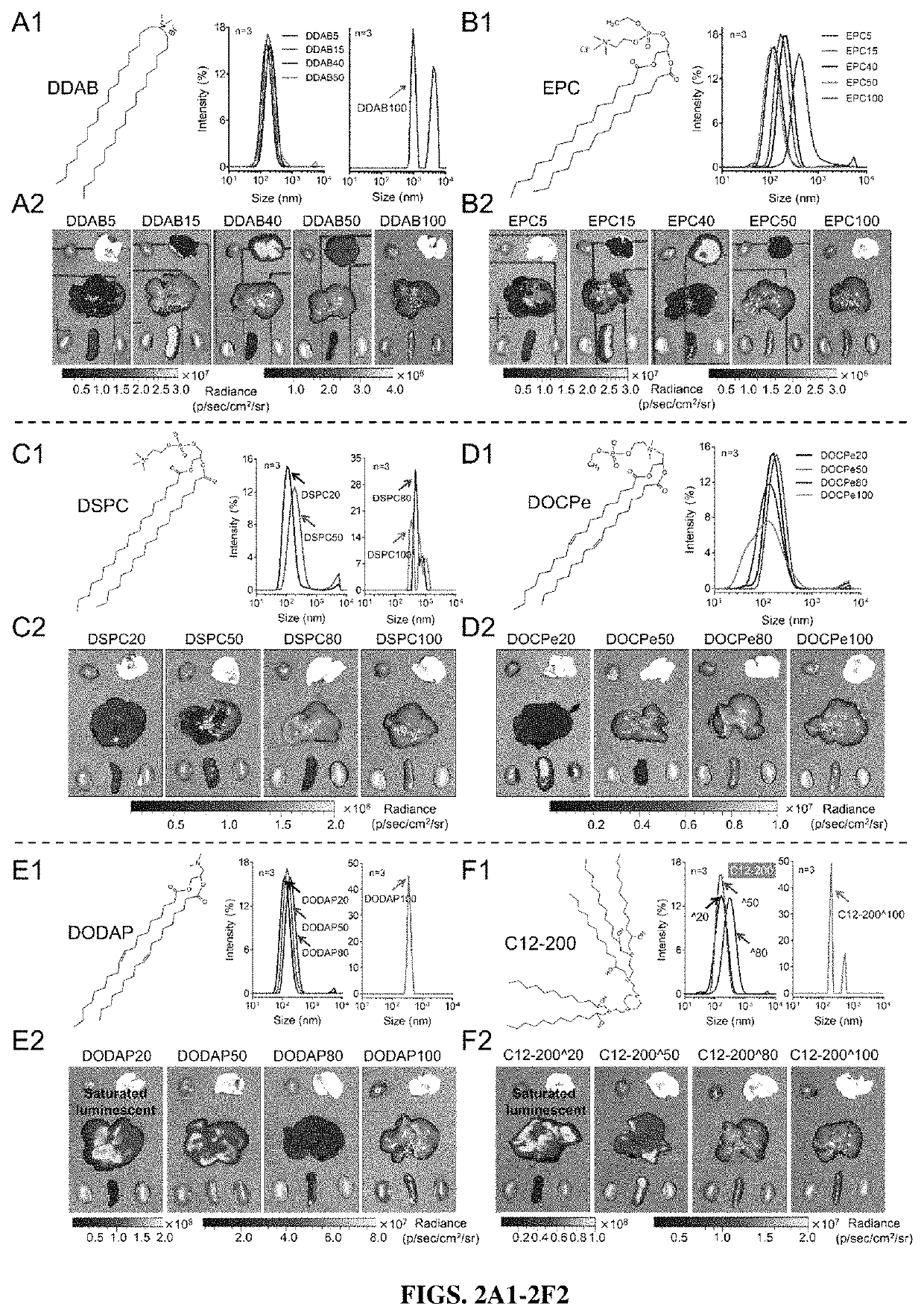 Compositions and methods for organ specific delivery of nucleic acids