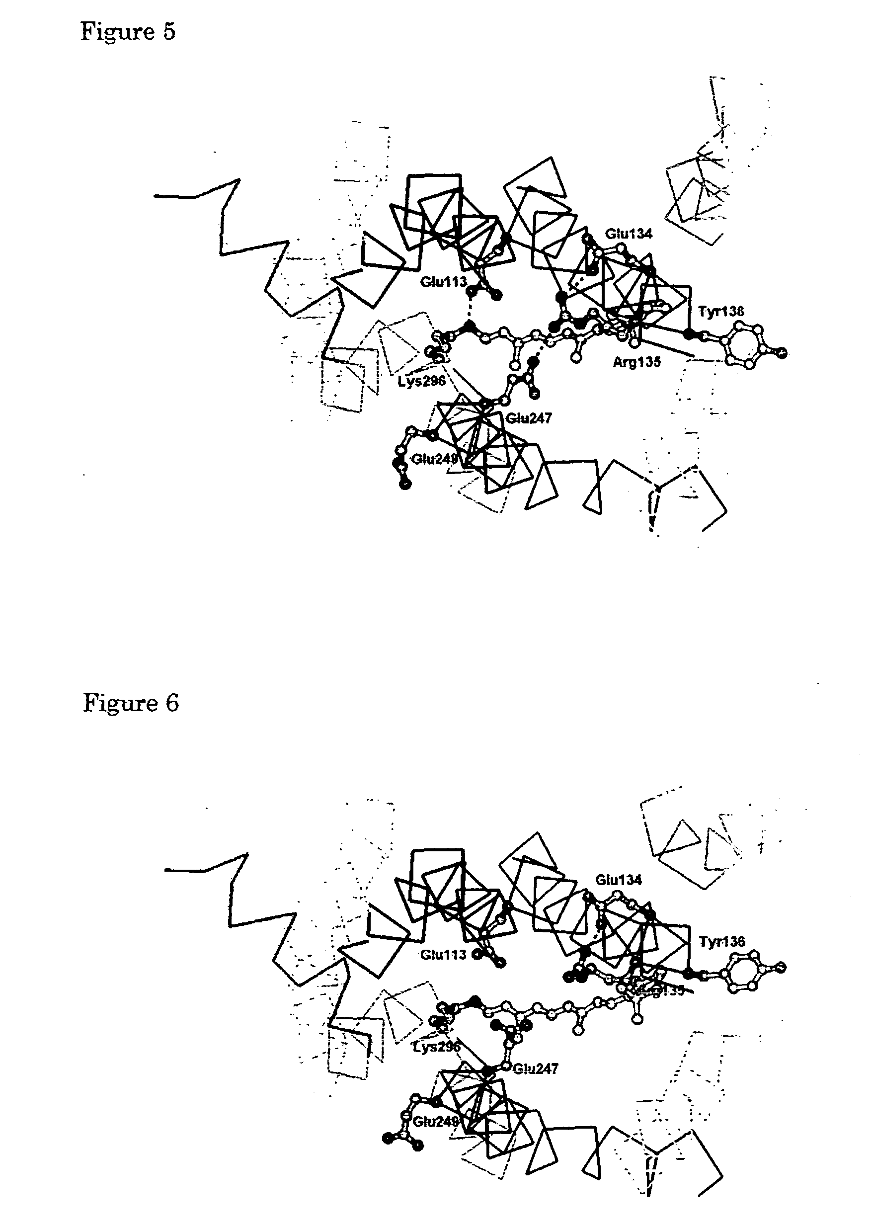 G protein-coupled receptor structural model and a method of designing ligand binding to g protein-coupled receptor by using the structural model