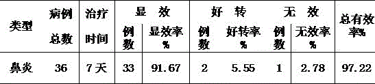 Medicine for treating rhinitis and preparation method of medicine