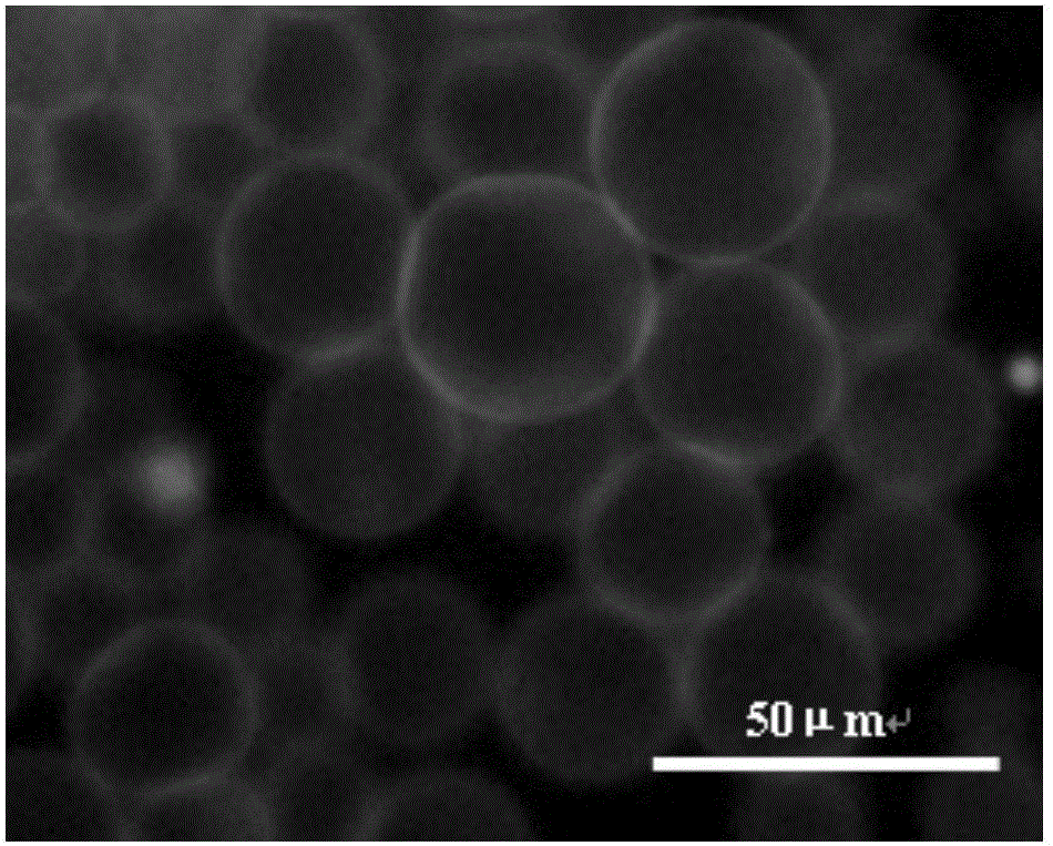 Method for synthesizing oleic acid/sodium oleate vesica under alternating electric field