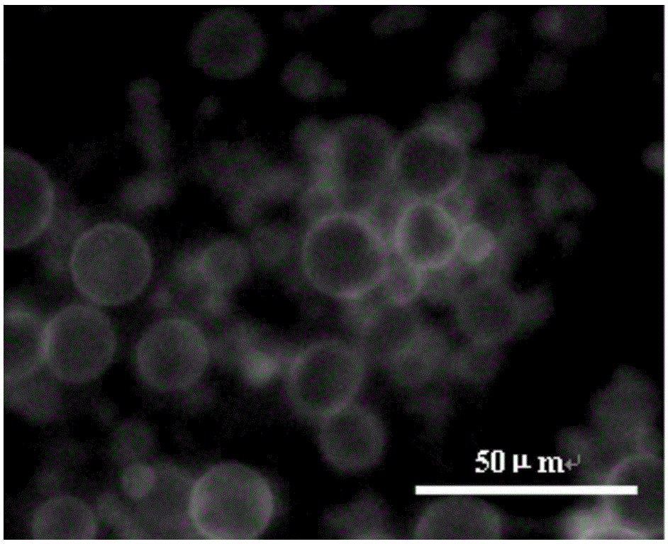 Method for synthesizing oleic acid/sodium oleate vesica under alternating electric field