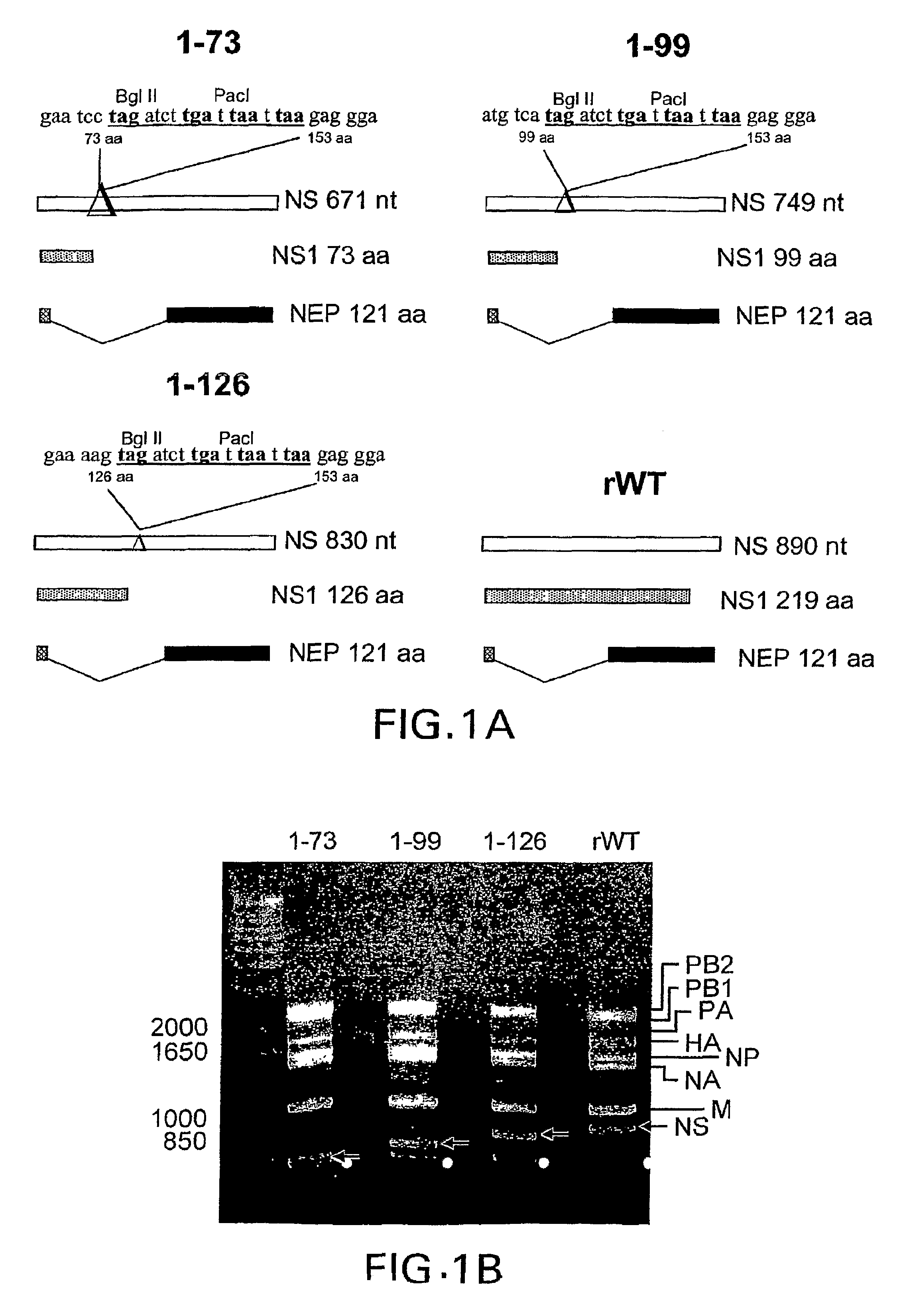 Genetically engineered swine influenza virus and uses thereof