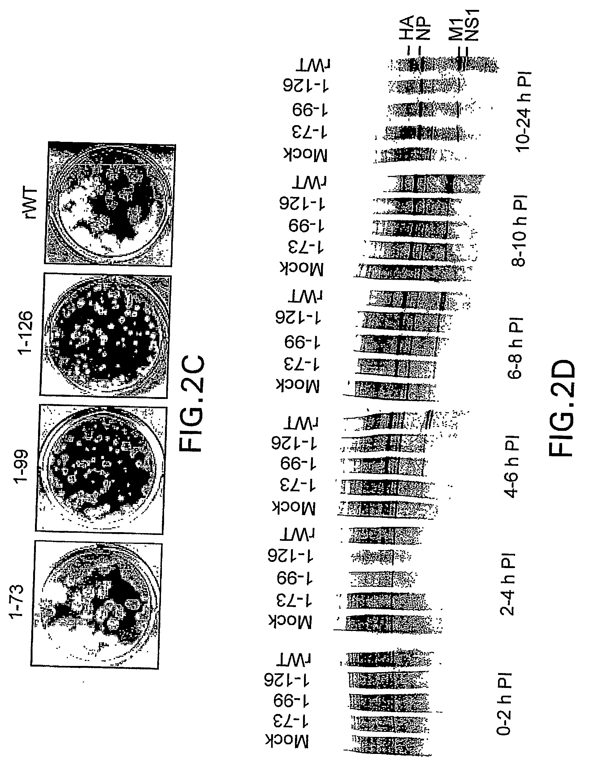 Genetically engineered swine influenza virus and uses thereof