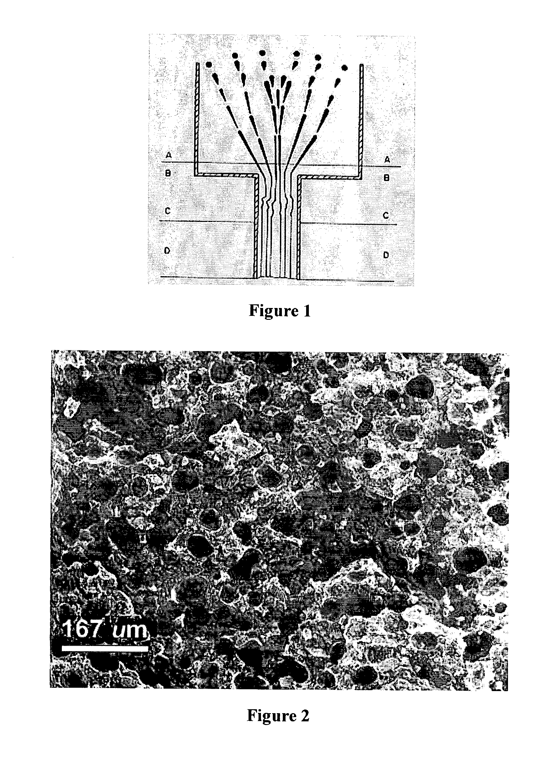 Method for preparation of metallic and ceramic foam products and products made