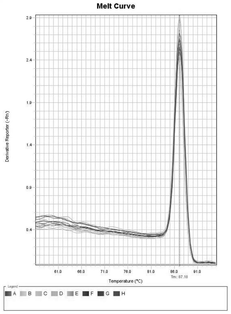 Fluorescent quantitative PCR method for rapid detection of imidacloprid water pollution