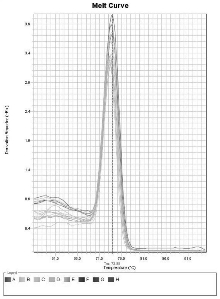 Fluorescent quantitative PCR method for rapid detection of imidacloprid water pollution