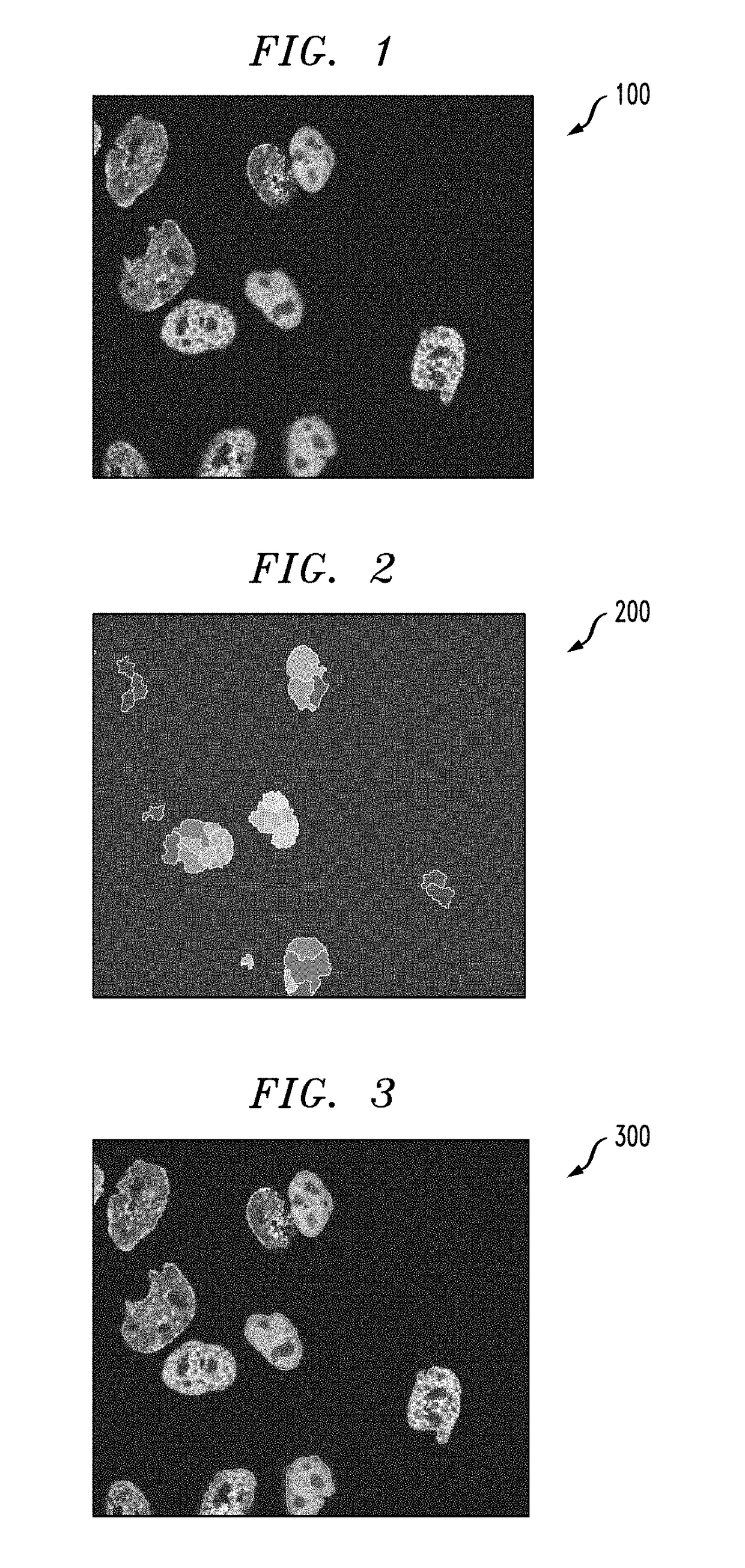 Searching trees: live time-lapse cell-cycle progression modeling and analysis