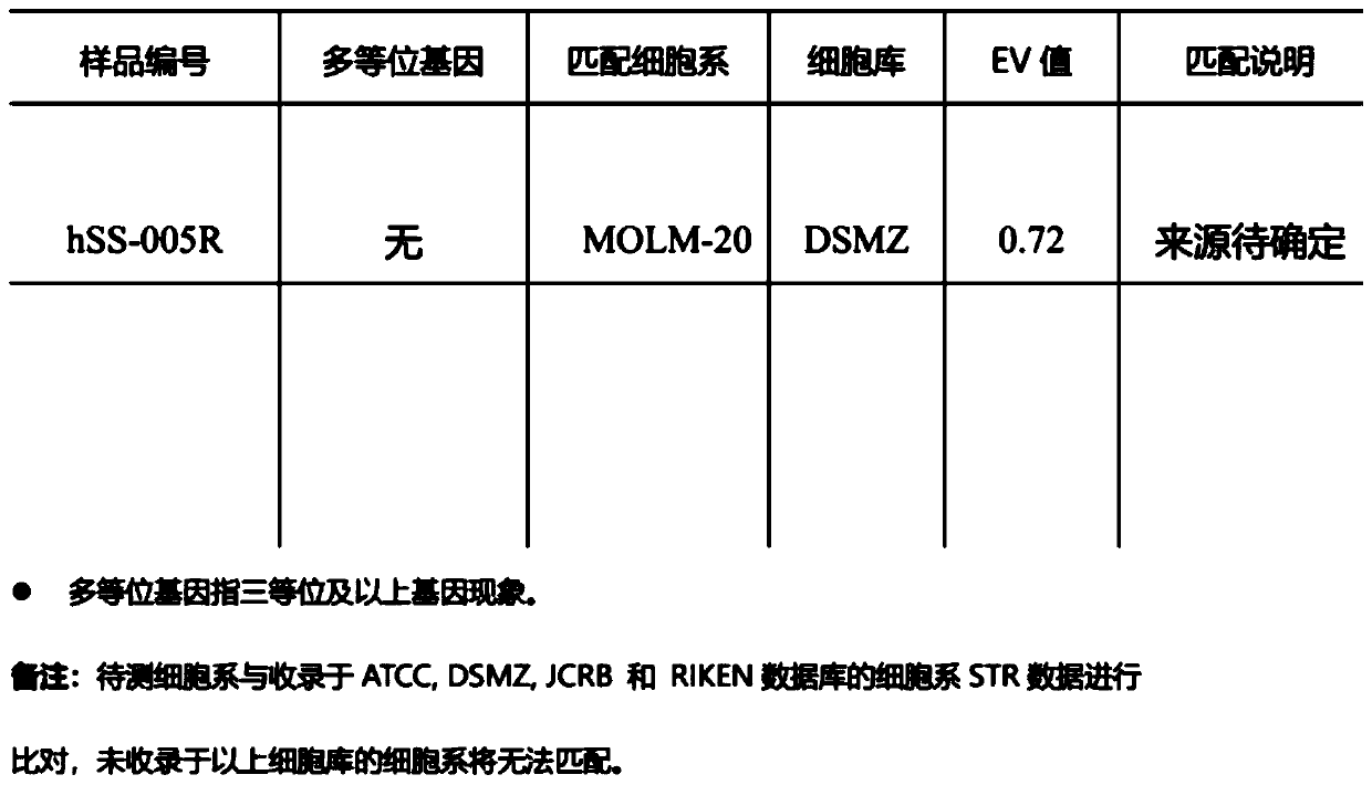 Synovial sarcoma cell line hss-005R and offspring cell line thereof