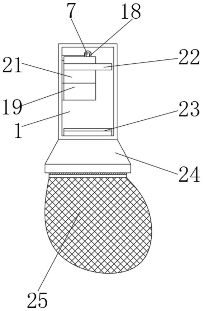 Grape planting device with adjustable function