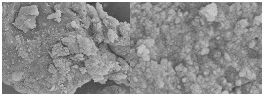 Preparation method of amido modified ferrihydrite material and application thereof